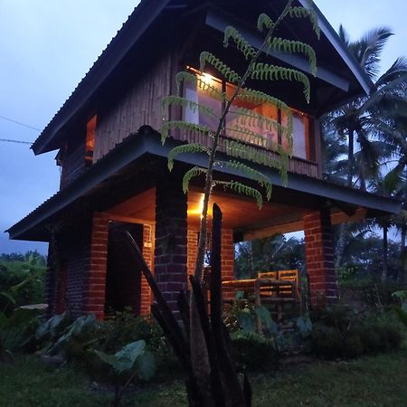 Coconut Homestay Tetebatu Exteriör bild