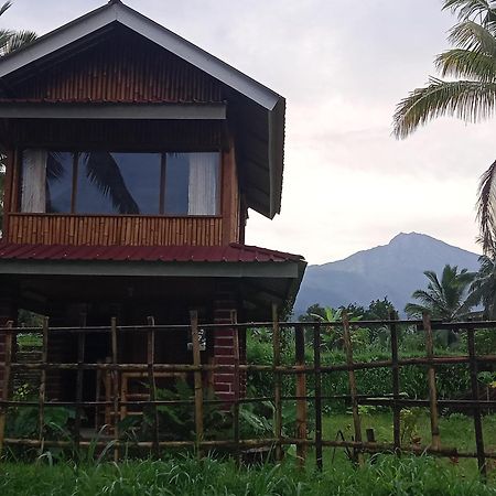 Coconut Homestay Tetebatu Exteriör bild