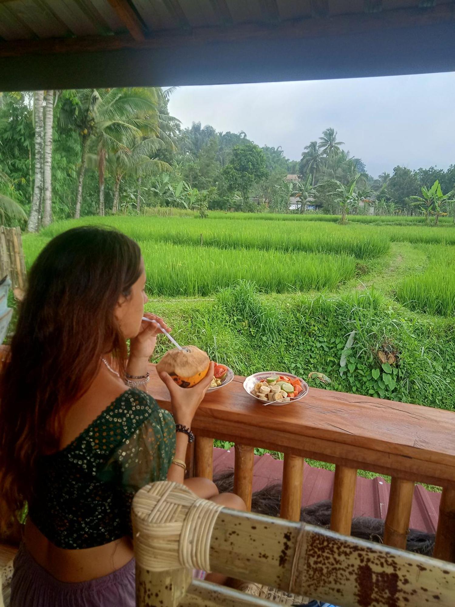 Coconut Homestay Tetebatu Exteriör bild