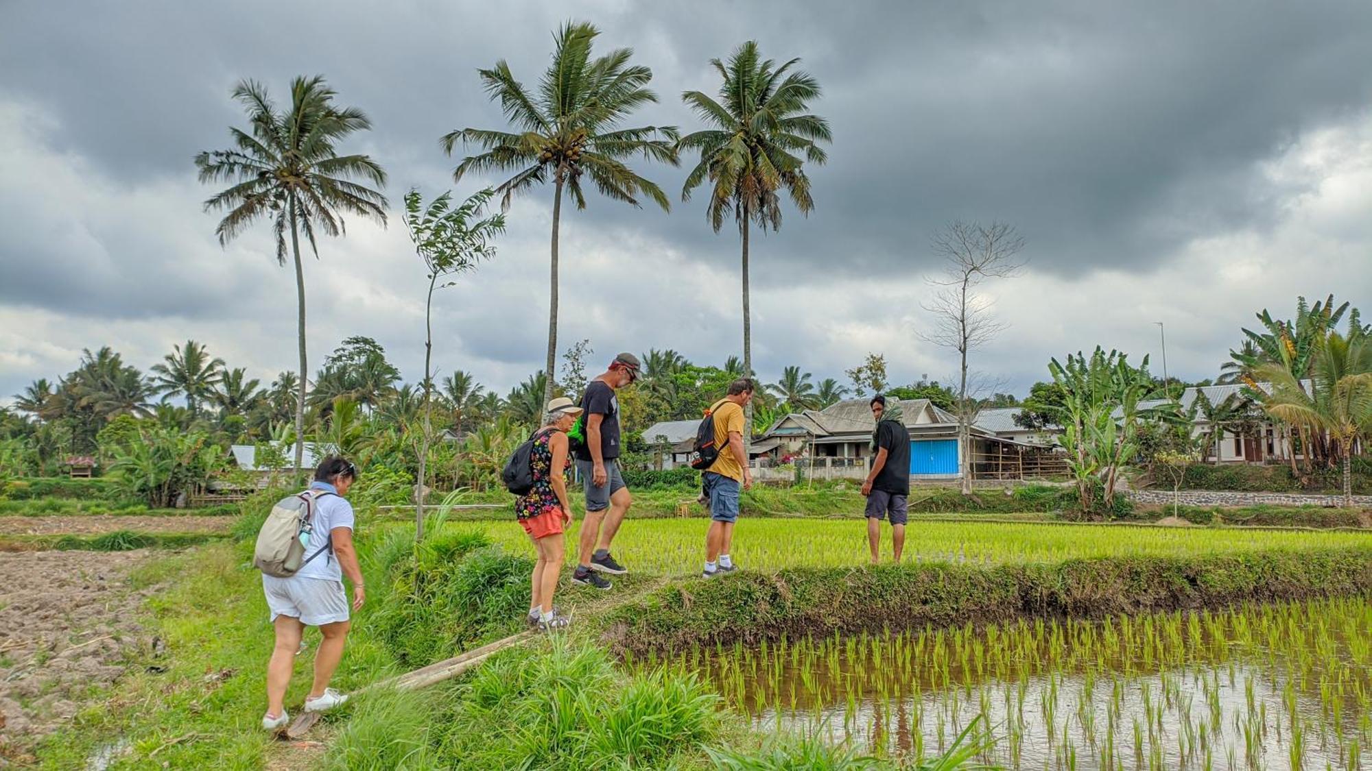 Coconut Homestay Tetebatu Exteriör bild