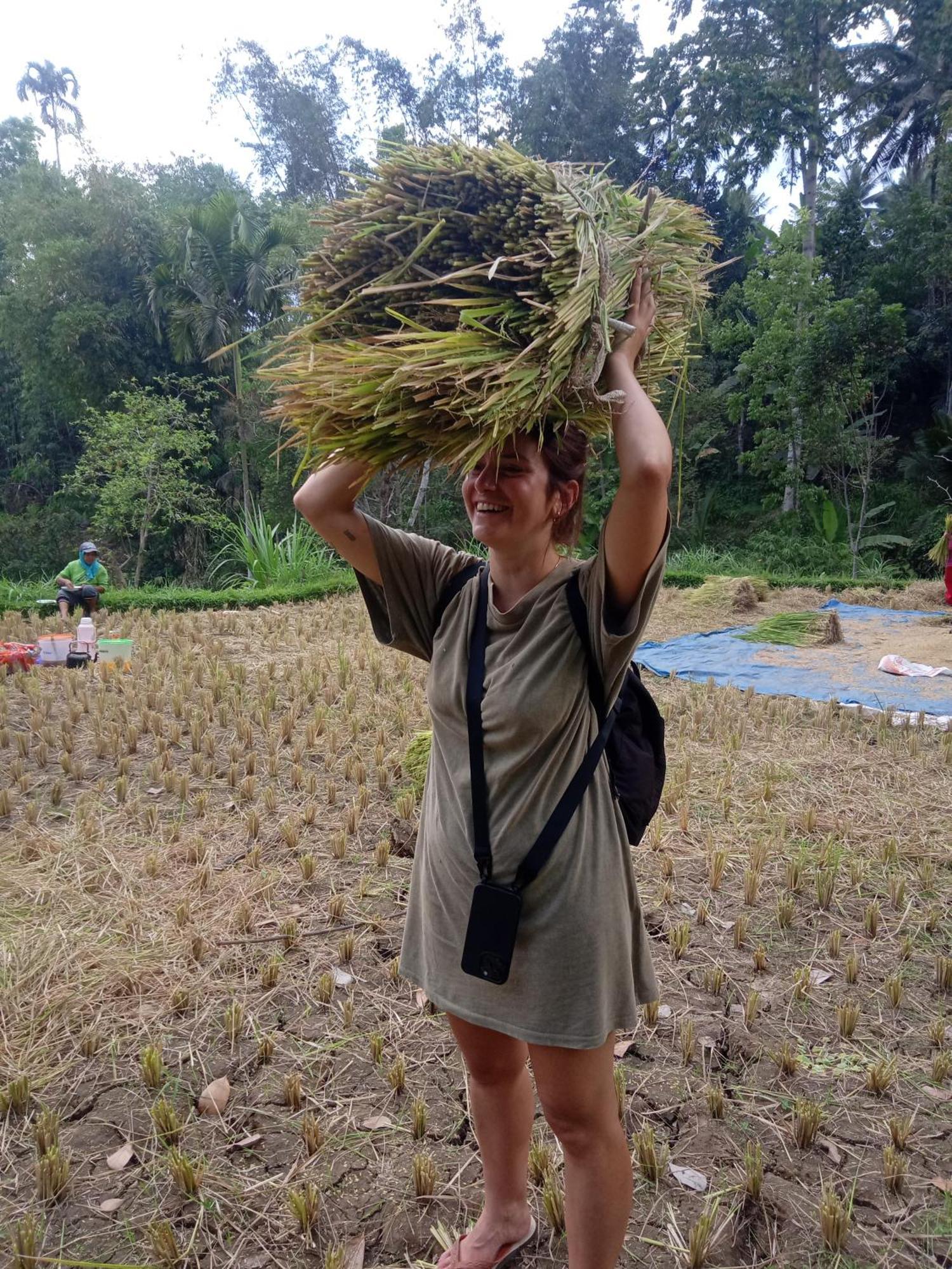 Coconut Homestay Tetebatu Exteriör bild