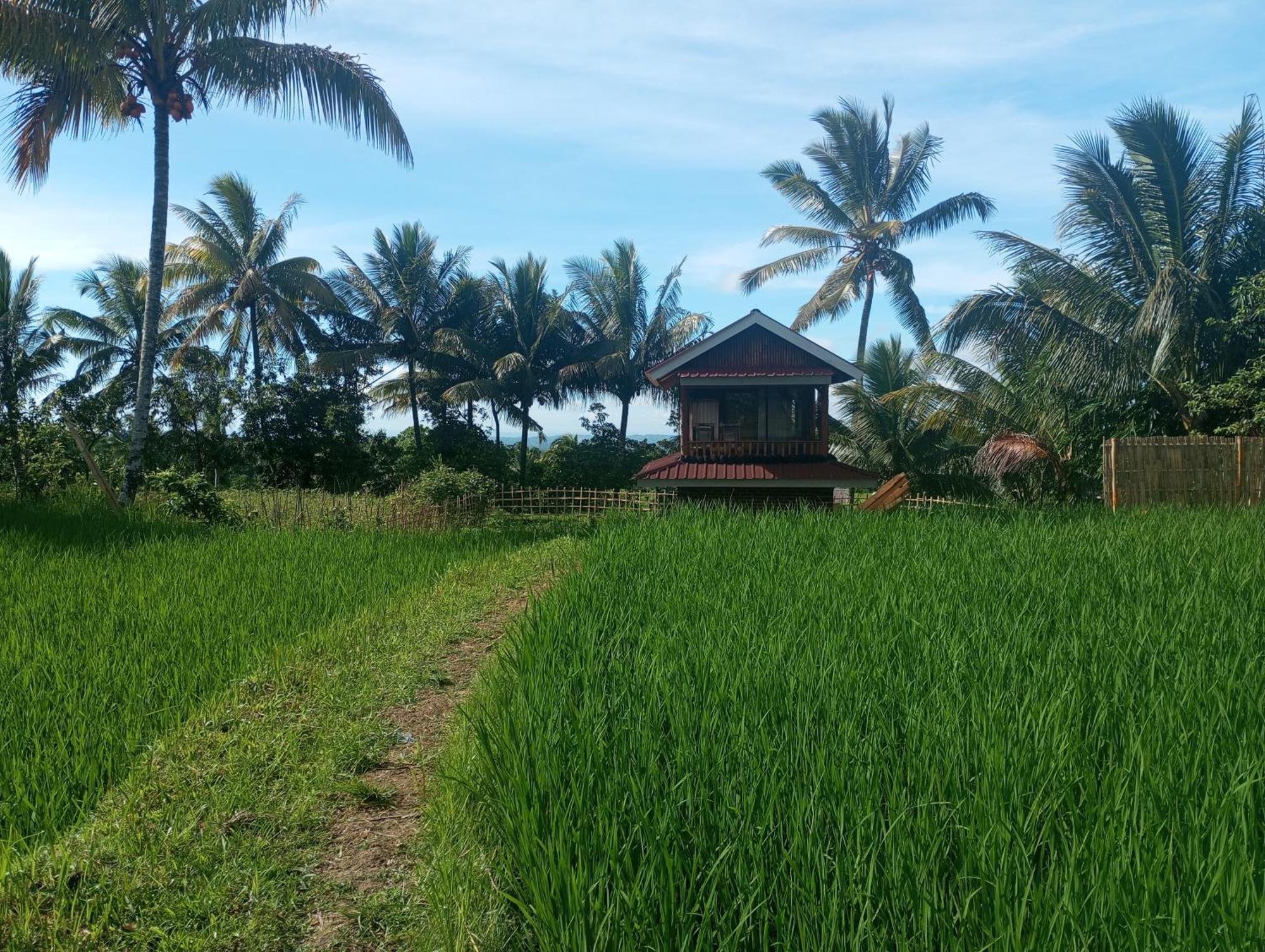 Coconut Homestay Tetebatu Exteriör bild