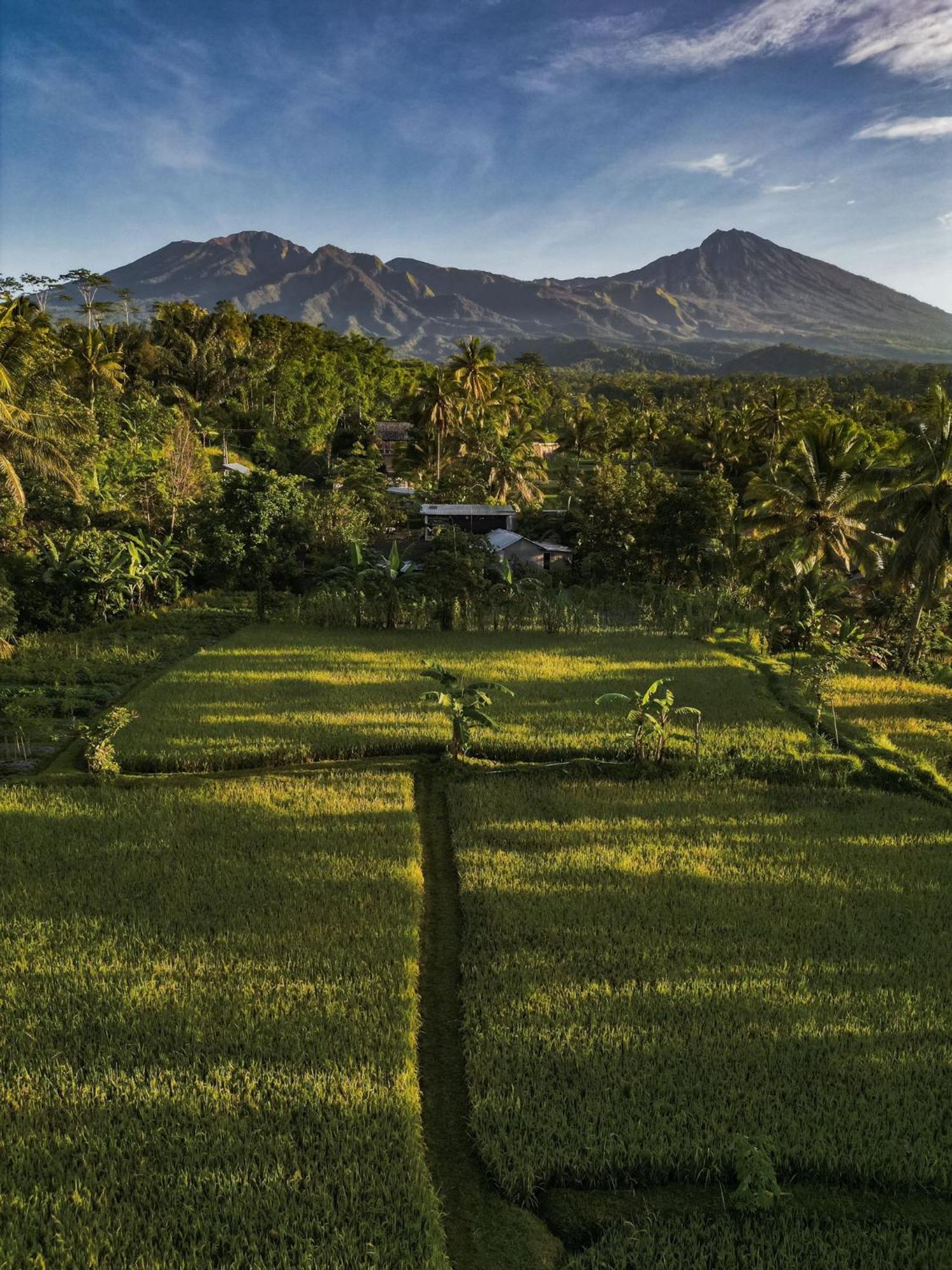Coconut Homestay Tetebatu Exteriör bild