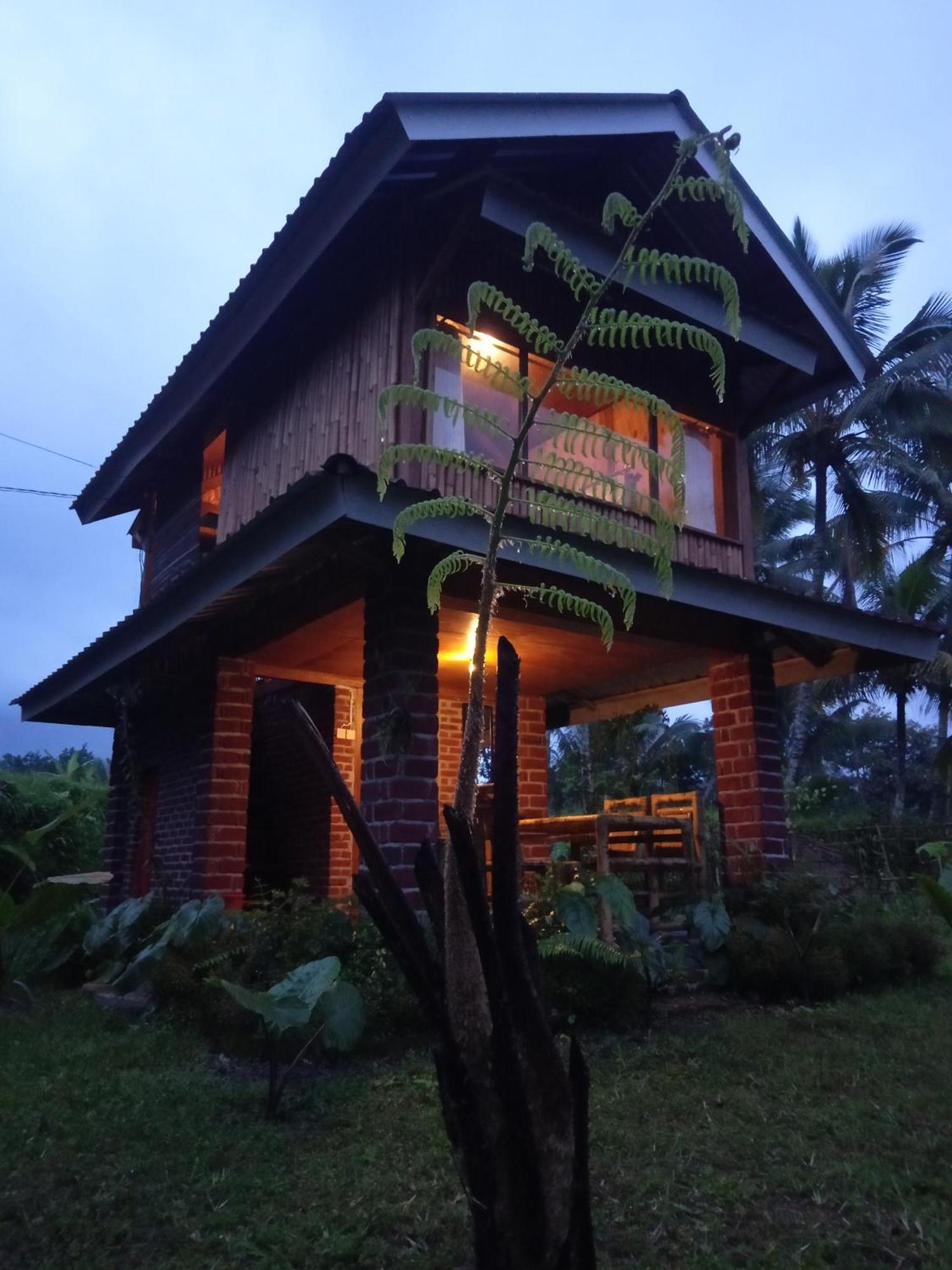 Coconut Homestay Tetebatu Exteriör bild