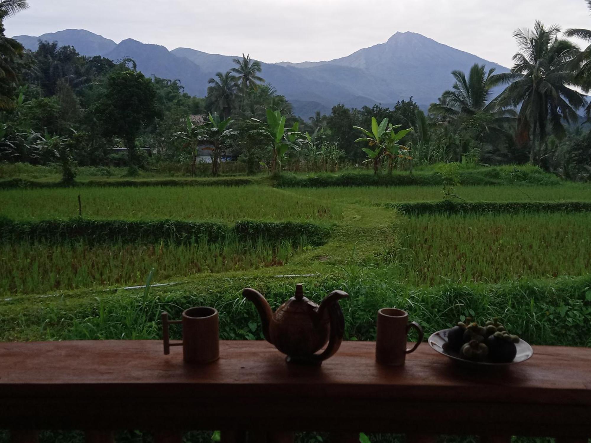 Coconut Homestay Tetebatu Exteriör bild
